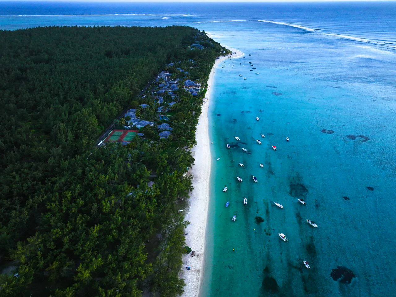 Plage et forêt verdoyant.